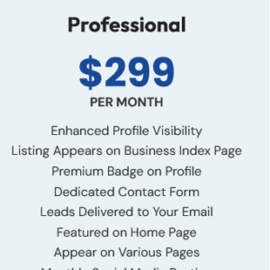 Localnex Get Featured Professional Package